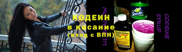 индика Лабытнанги