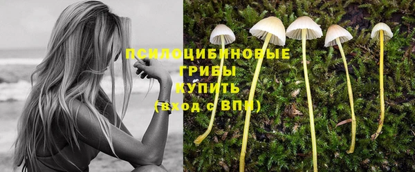 герыч Алзамай