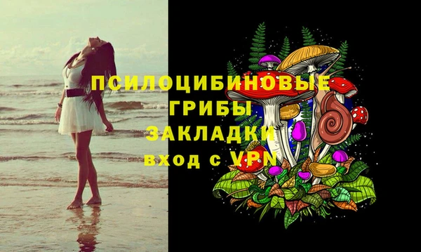 стаф Алексеевка