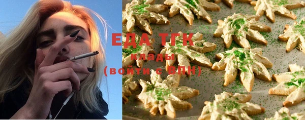 крисы Аркадак