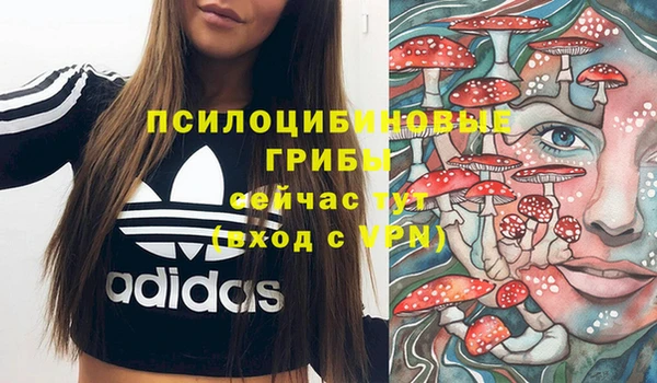 крисы Аркадак