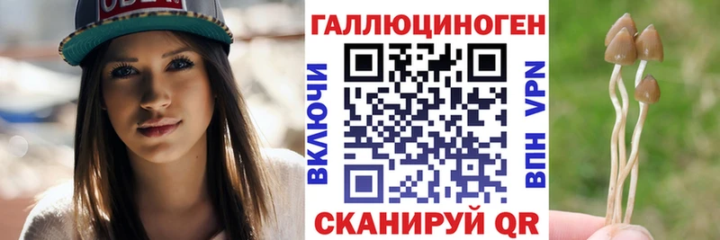 Псилоцибиновые грибы прущие грибы  Венёв 